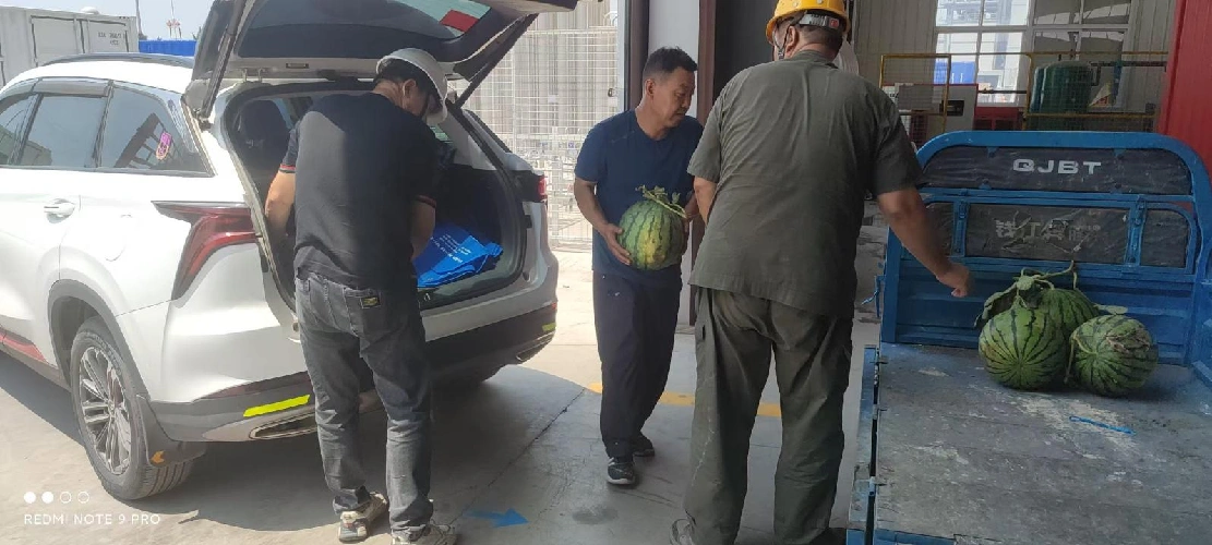 Senden Sie Coolness im schwülen Sommer, Vereinigung der Bemühungen zur Bekämpfung von extremer Hitze